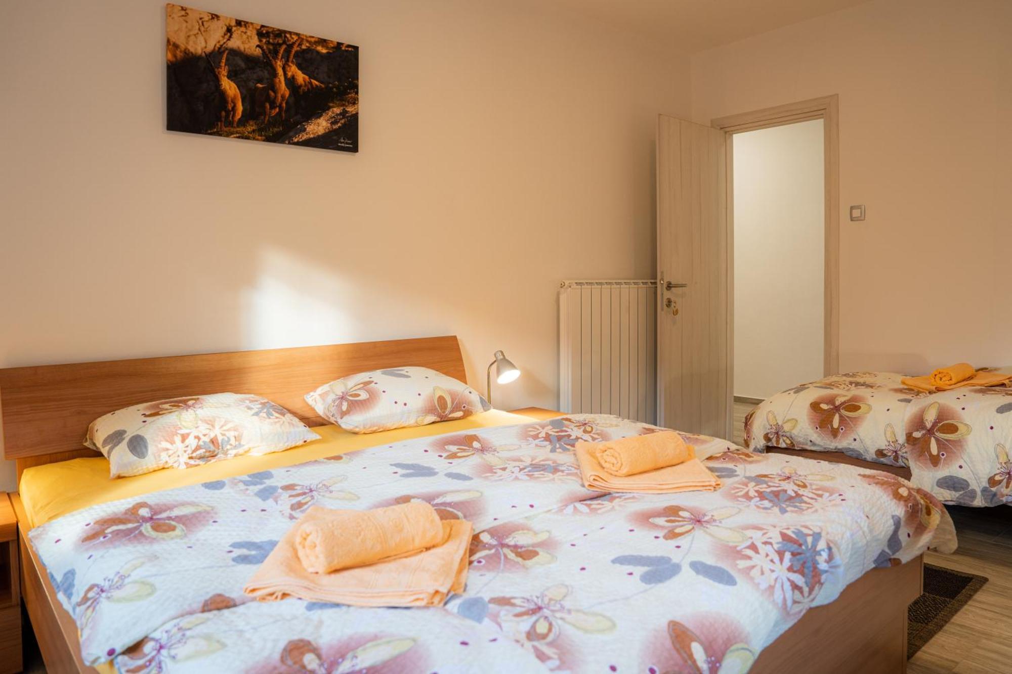 Relax House Soca Guest House Бовец Стая снимка